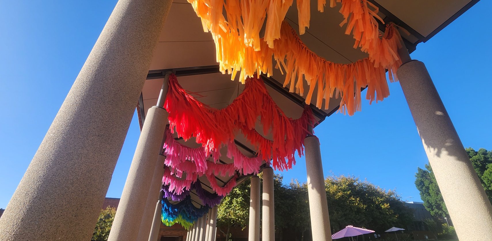 Rainbow ribbons hanging along Whitman Walk on the Curtin Bentley campus