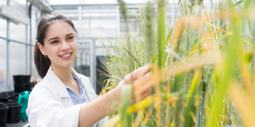 Female student in lab coat analysing crops