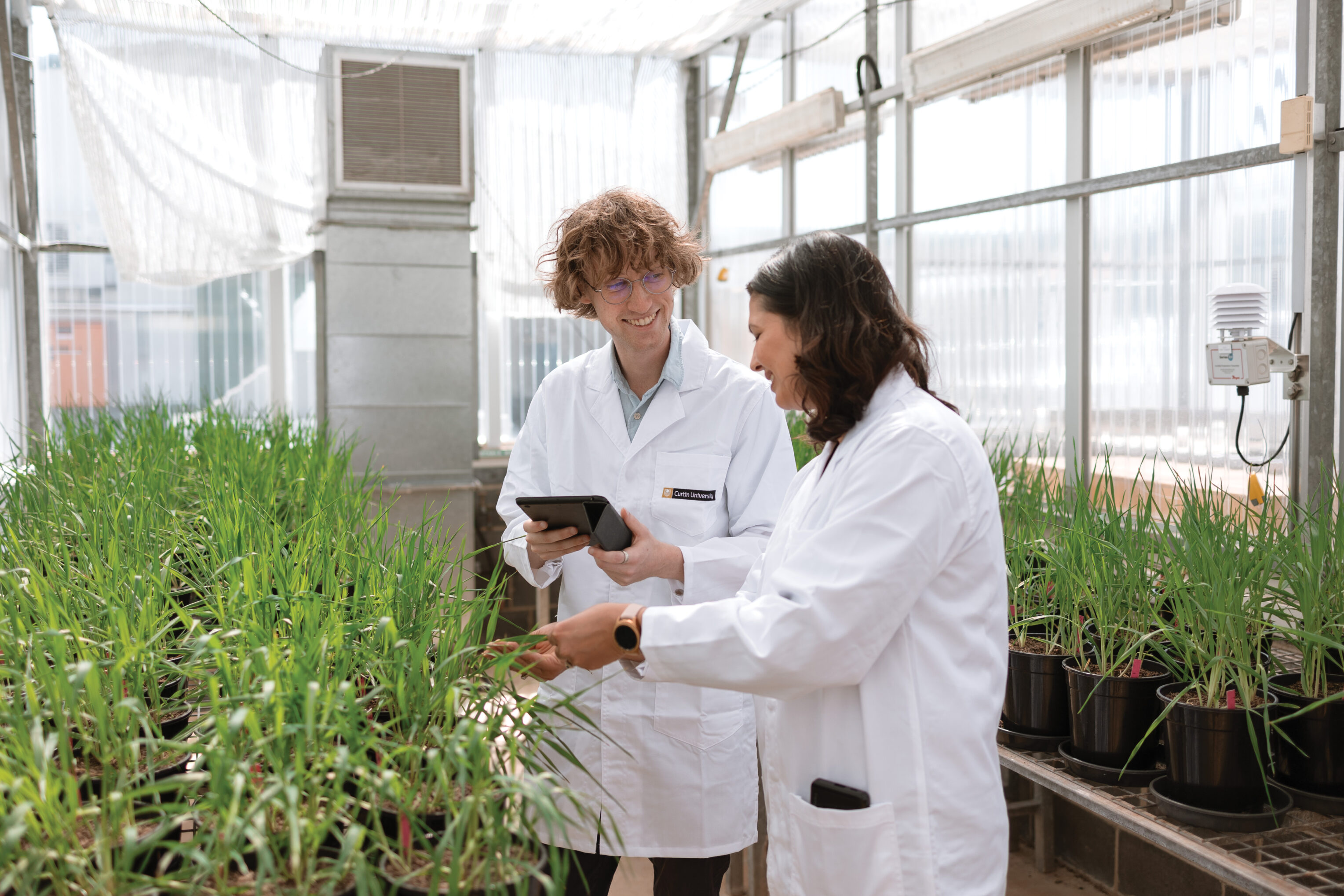 Agribusiness students in a greenhouse
