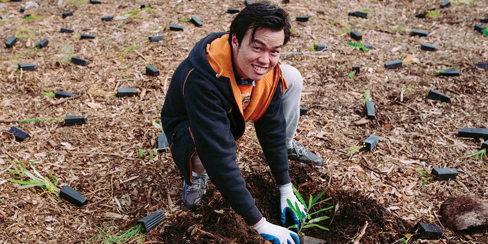 A young male student, planting a tree, looking at camera and smiling - play video