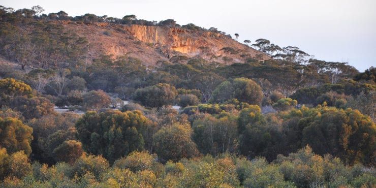 Nowanup Bush Camp location