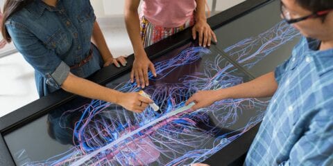 Students using a touch screen to access a 3D life size virtual human body
