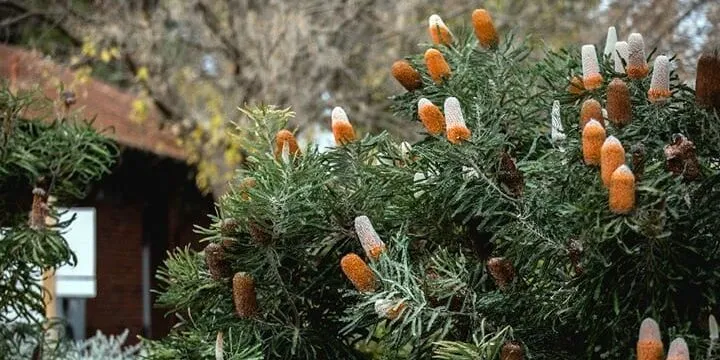 Engagement and impact