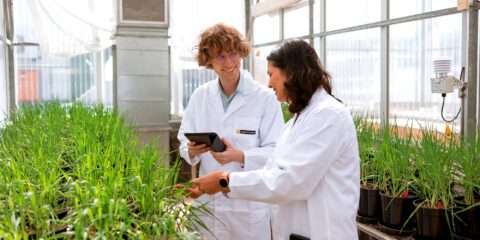 A female and male student wearing lab coats inside a greenhouse