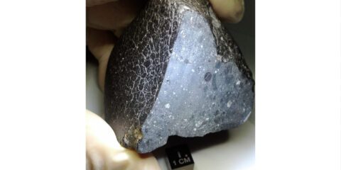 Fragment of the Black Beauty meteorite.