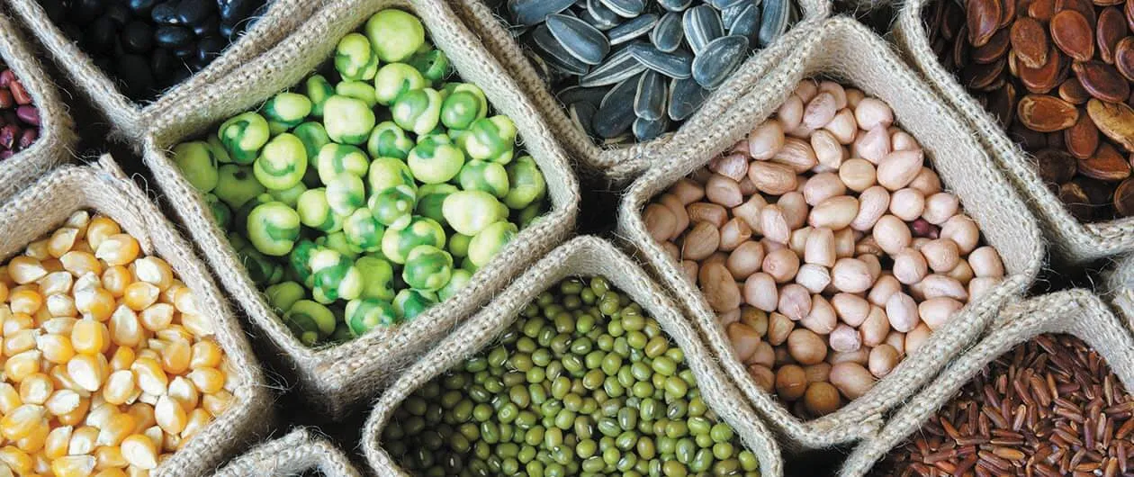 boxes of various legumes