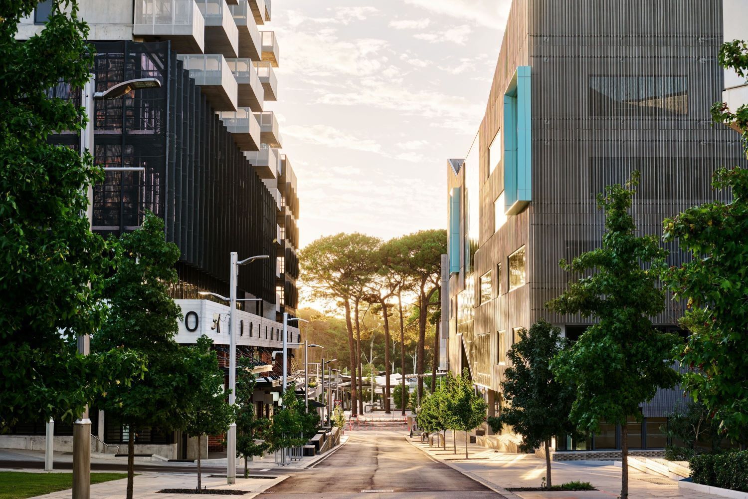 Image for The RACE to integrate electric vehicles is charging ahead