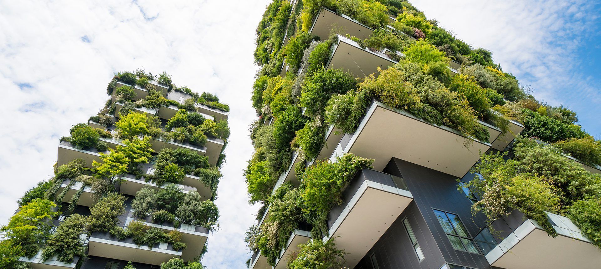 A city building covered in green plants