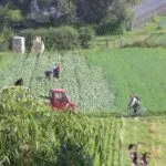 Curtin University Sustainability Policy