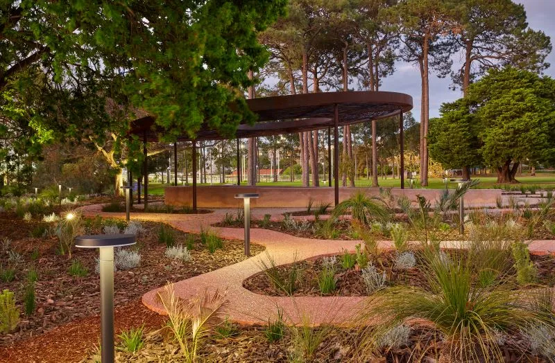 Pathways to university