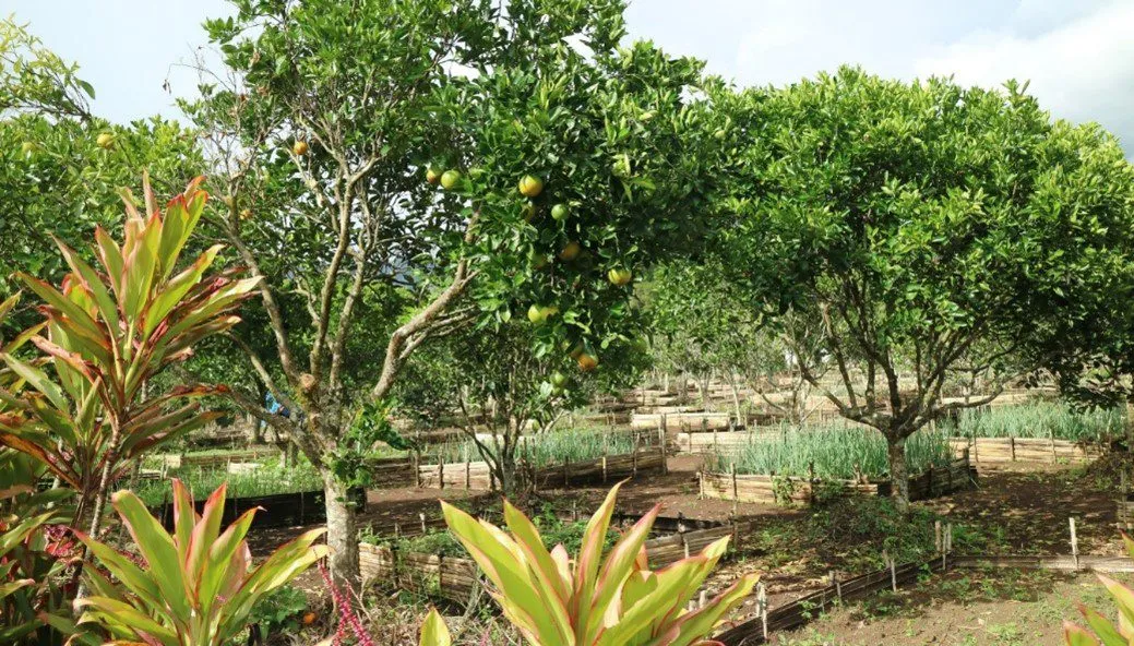 Image for Sustainability Research at the Forefront for Curtin’s School of Design and the Built Environment  