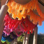 Rainbow ribbons on Curtin's Perth campus