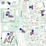 Curtin Women's Trail