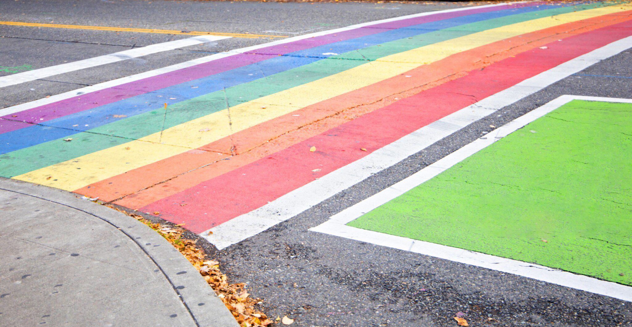 Pride in Diversity Pride Pathways Program