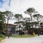 Gender-based violence response and prevention