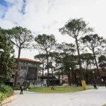 Gender-based violence response and prevention