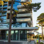 Curtin researchers support Bentley campus decarbonisation agenda