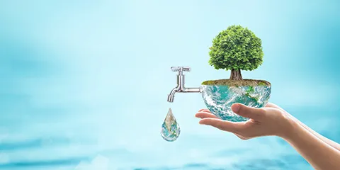 World environmental ecology concept with rain forest tree planting on green globe with water faucet.