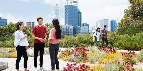 Customised study programs