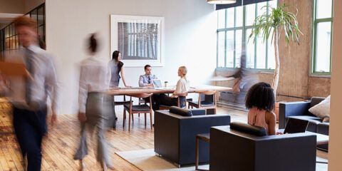 Small Business Essentials