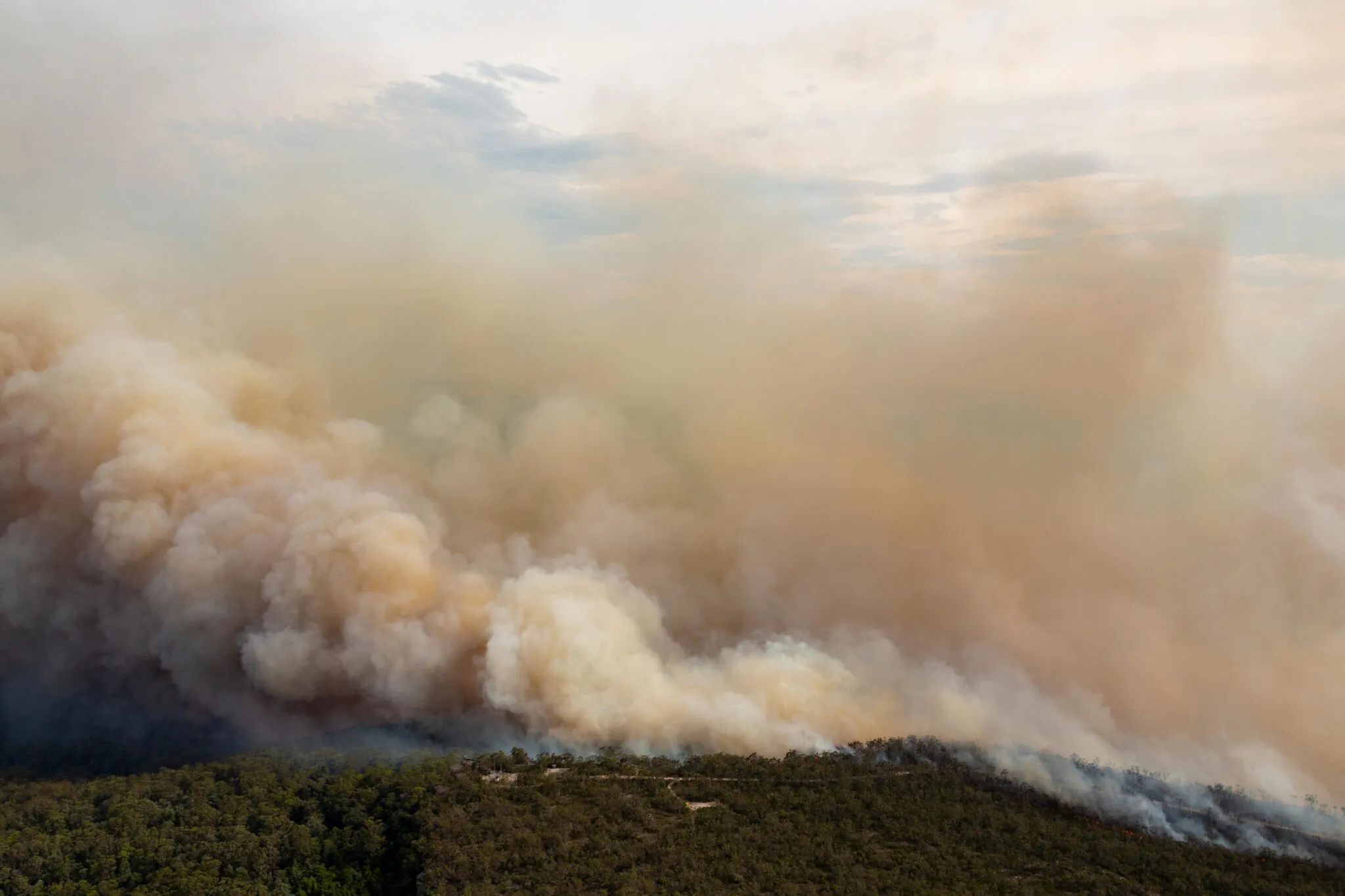 Aerial photograph of a bushfire with smoke billowing up from a cluster of trees