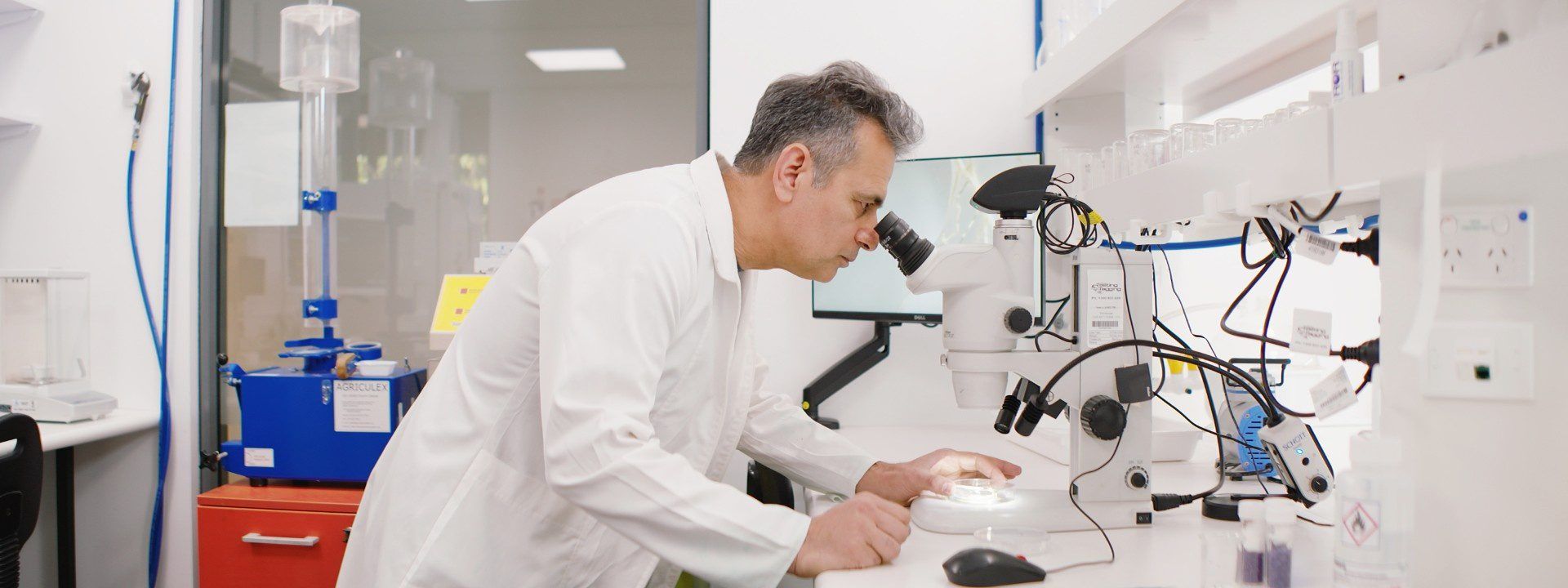 Rhizobacterial Enhanced Seeds