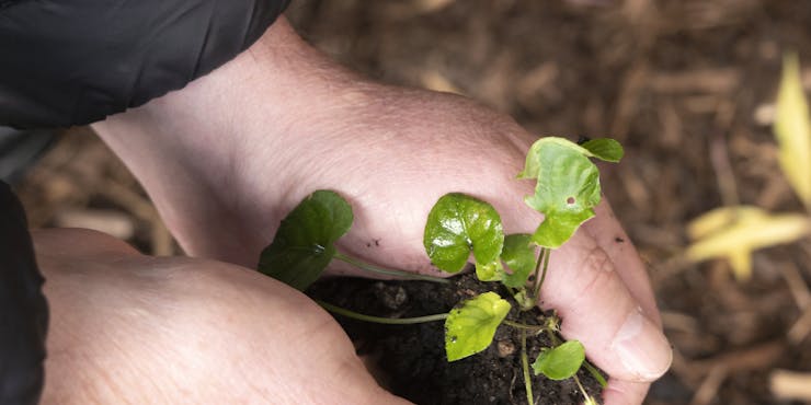 Join a Design Jam to support Environmental Sustainability
