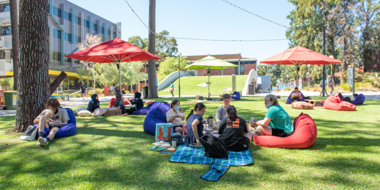 Step in solo, step out connected: Join Curtin Volunteers! at Pop-up Picnic