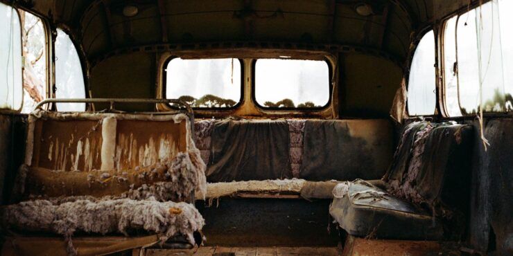 Into the Wild