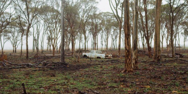 Holden Graveyard