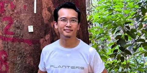 Image for Reforestation company finds its roots