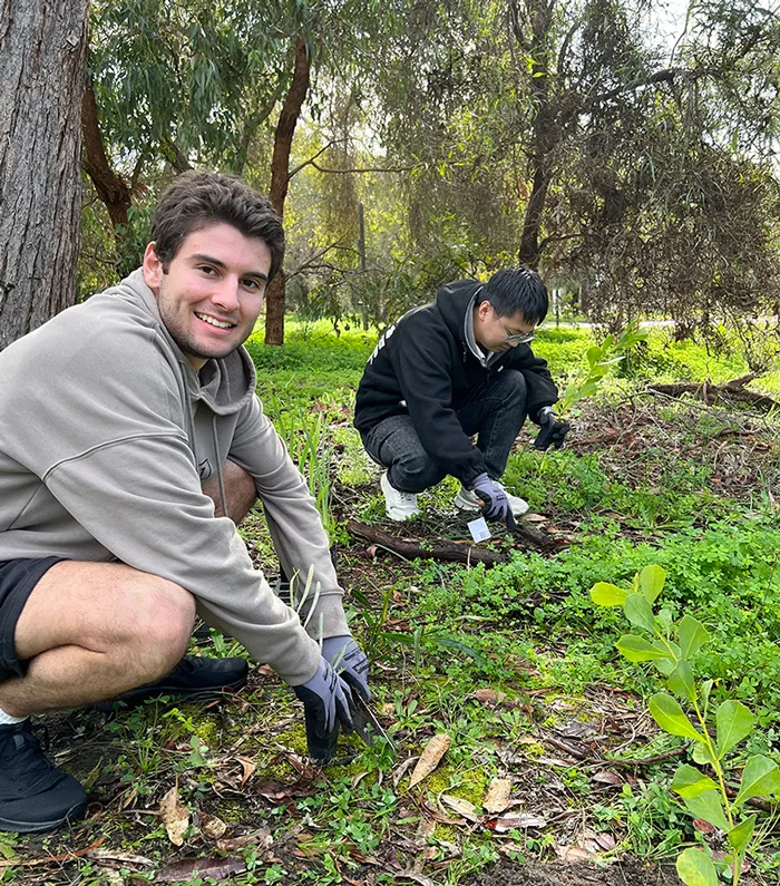 Environment & Sustainability