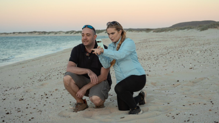 Curtin graduate empowering sea turtle conservation efforts through innovative technology