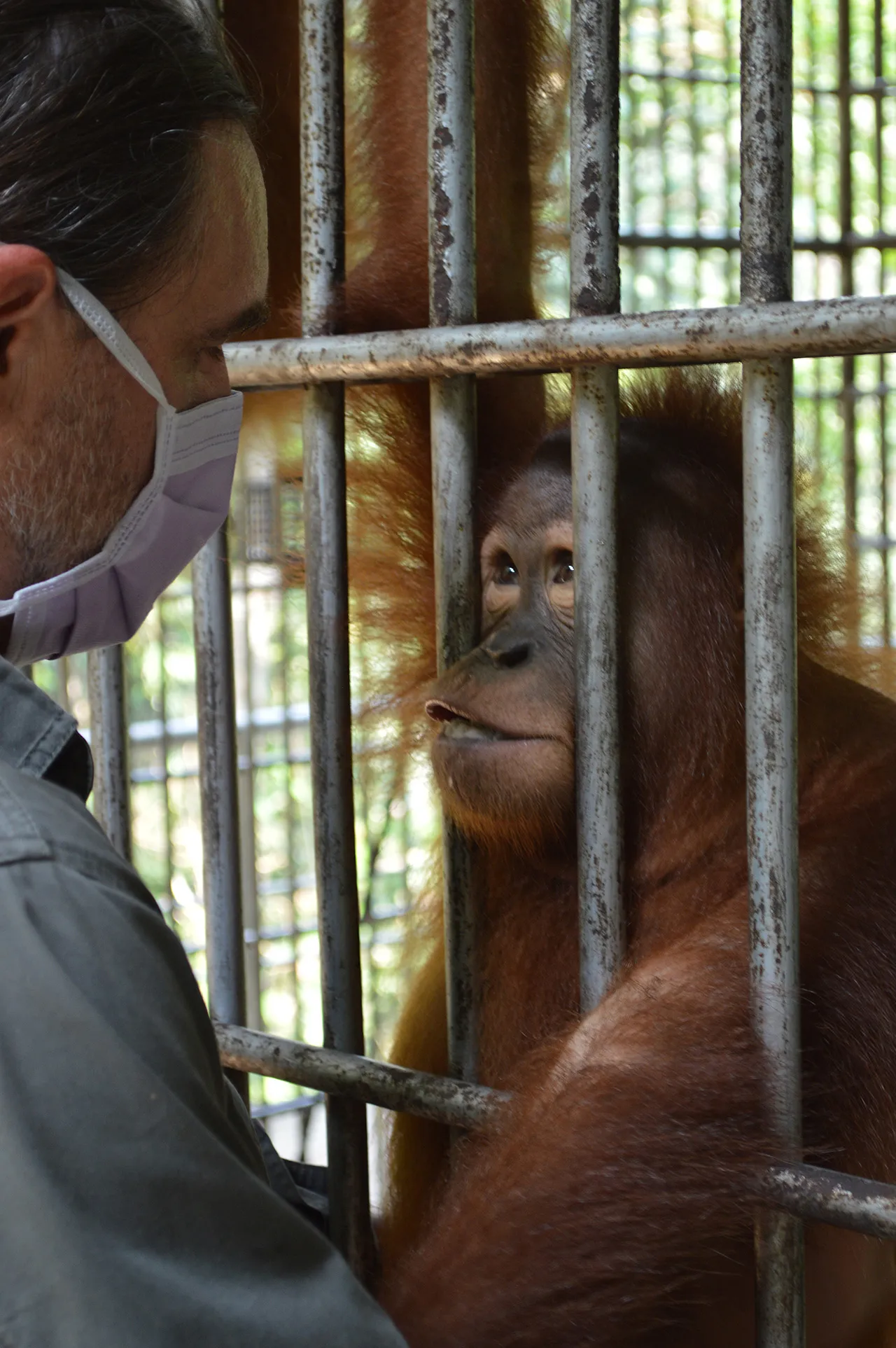 RRRCopy-of-2019-BTP-Leif-with-Orangutan-Jungle-School-Set2_DSC_0394_edited