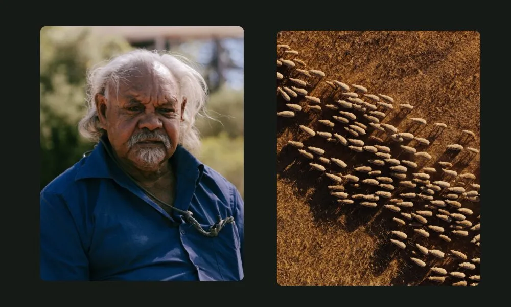 tristan mckenzie photos