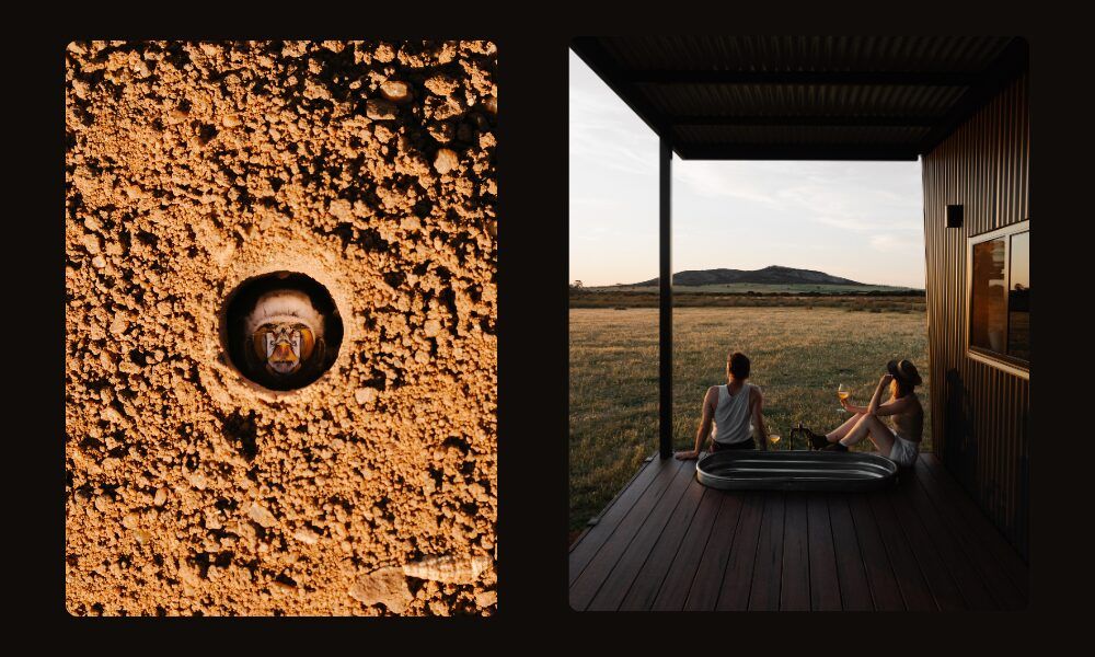 curtin graduate tristan mckenzie photo