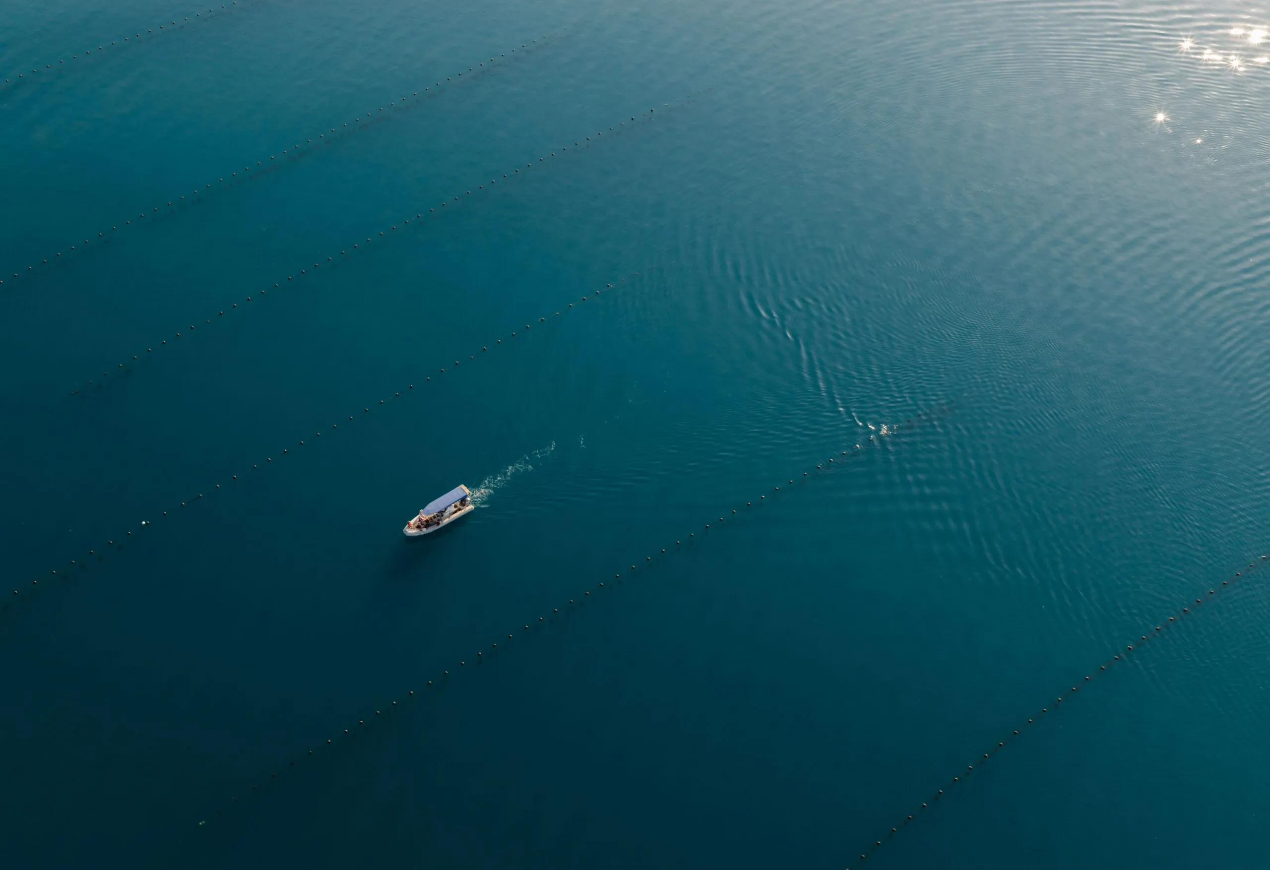 cygnett bay pearl farm photo