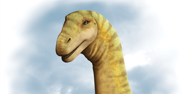 Diamantinasaurus matildae head