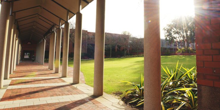 Columns at Curtin Perth campus.