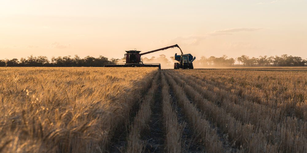 New digital tool to increase farm profitability and sustainability