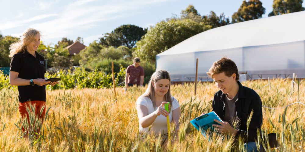 Agriculture students in Curtin Field Trial Area