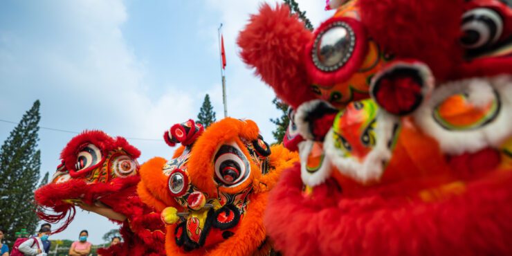 Dragon and lion dance show in Chinese New Year festival (Tet festival ), lion Dance - lion dance street performances in Vietnam