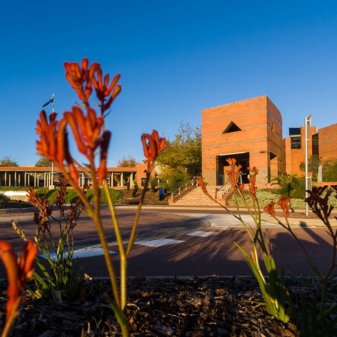 Image for Trailblazer University Program unlocks $549 million from industry to accelerate Australia’s innovation agenda
