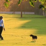 Everyday actions and behaviours linked to better mental well-being: study