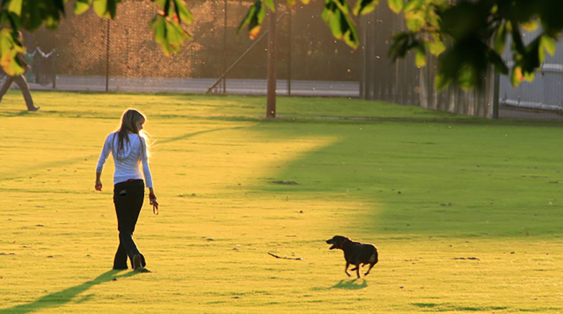 Image for Everyday actions and behaviours linked to better mental well-being: study