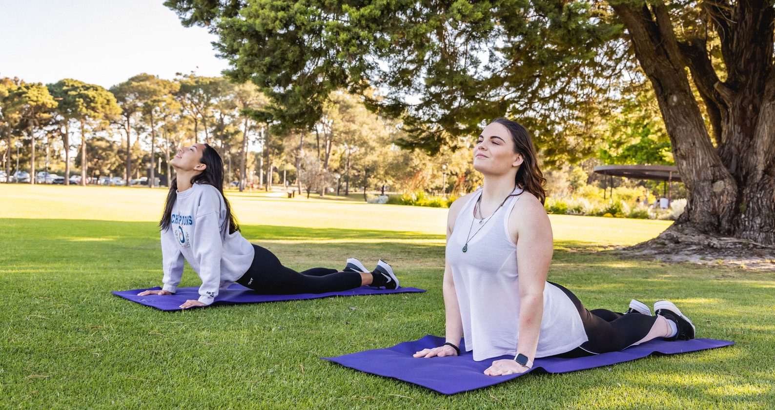 Image for Managing exam stress through exercise