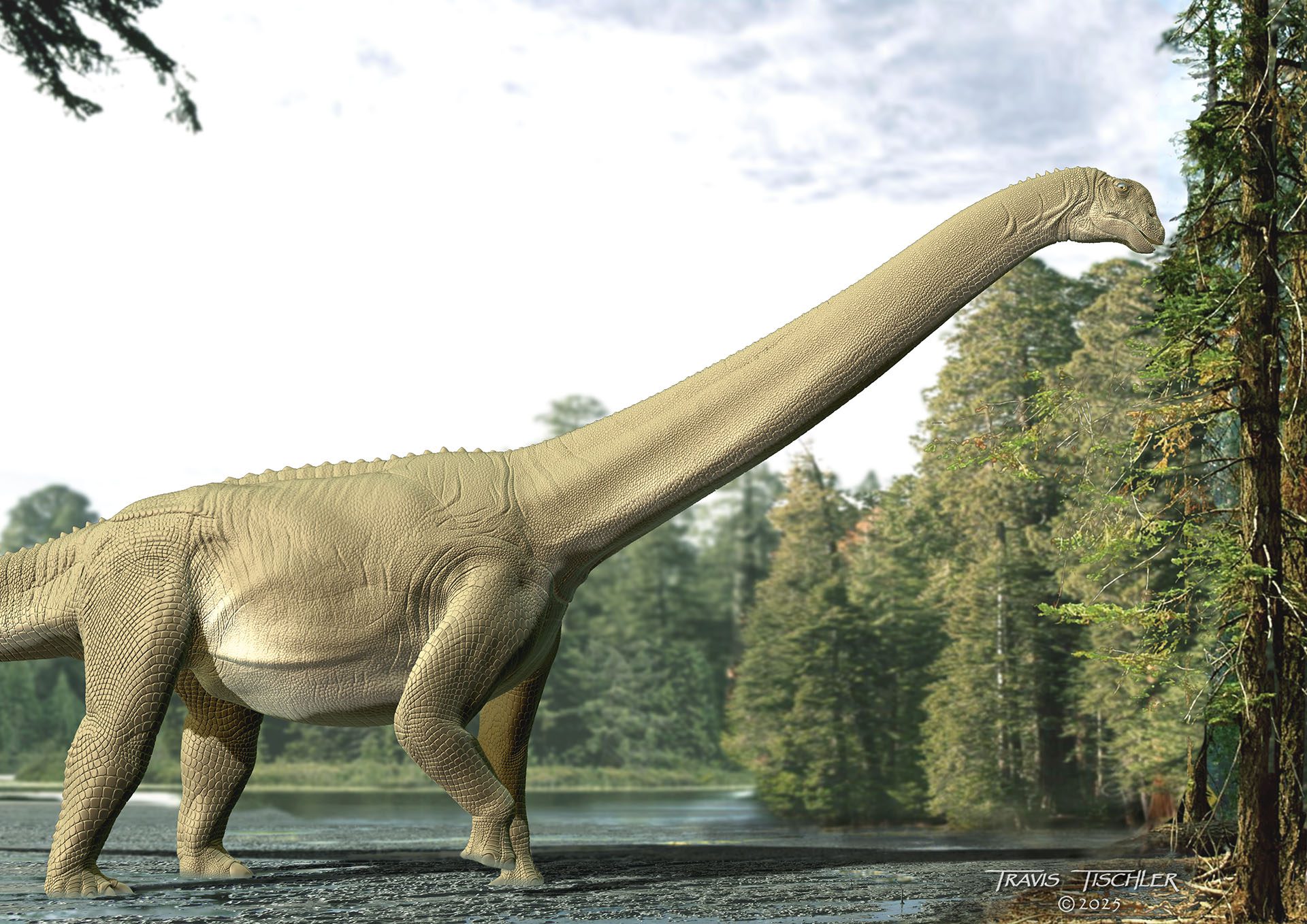 Image for What Judy ate: unveiling a sauropod dinosaur’s last meal for the first time