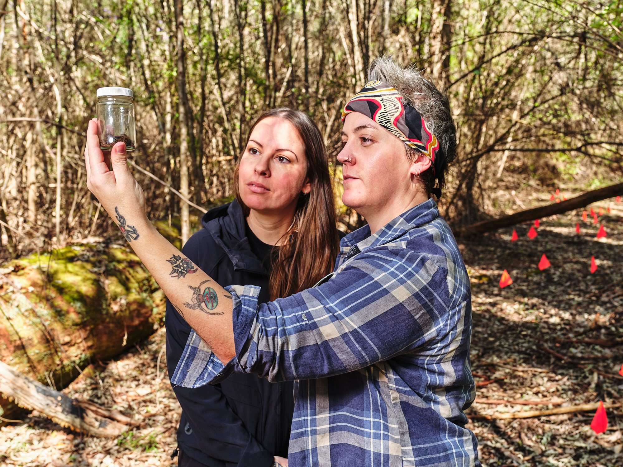 Cass Lynch and colleague inspect a rescued spider in a jar