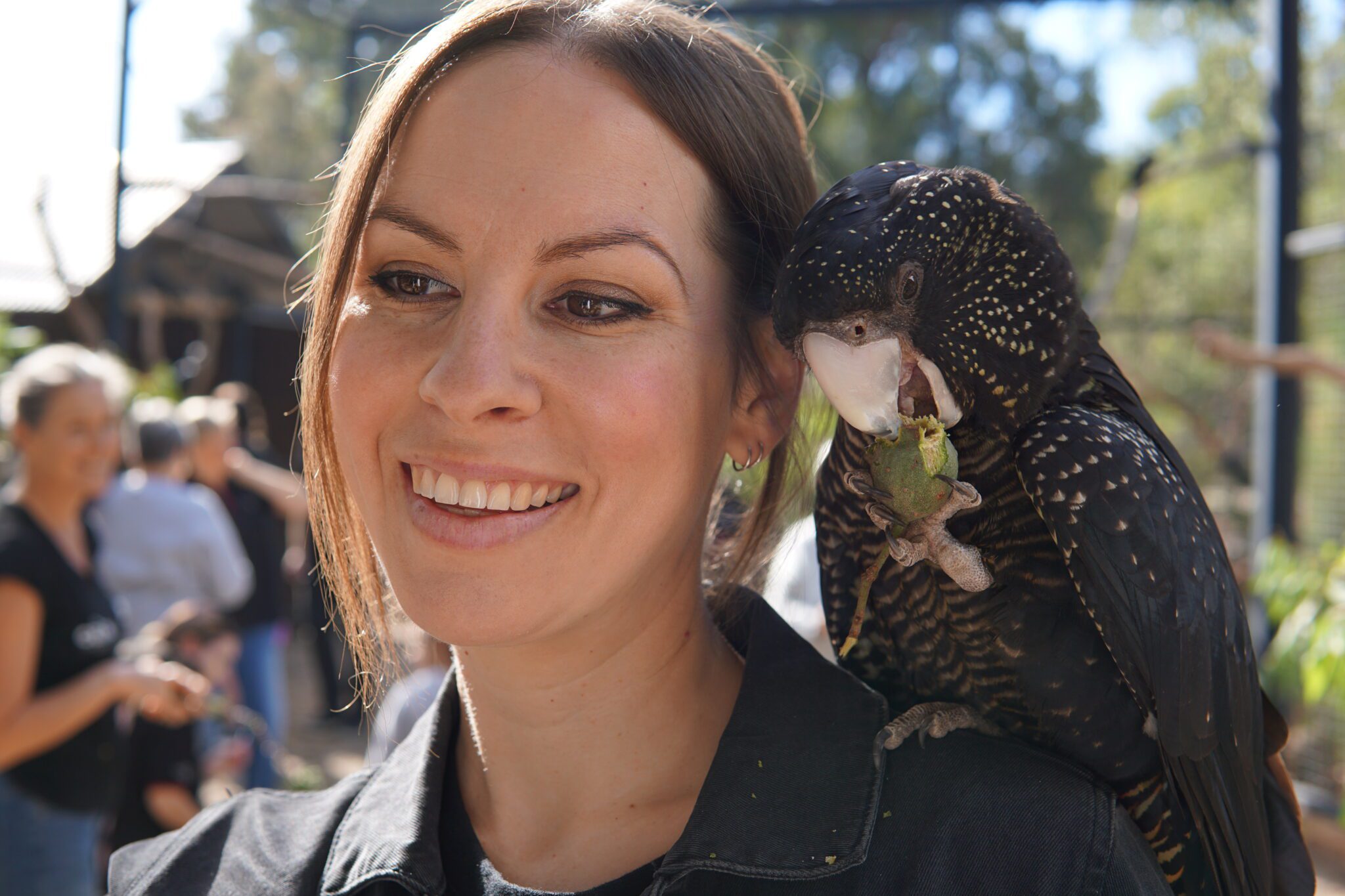 Image for Researcher Connect: Dr Cass Lynch