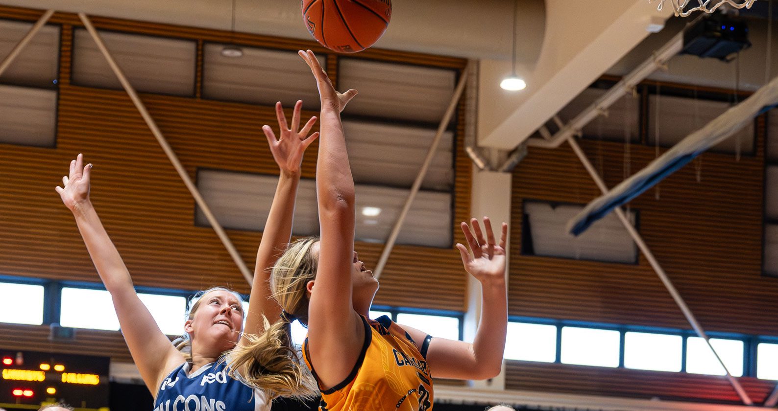 Carnabys basketball players scramble for the ball.